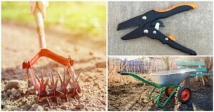 3 вида инструментов, которые помогут в садовых работах