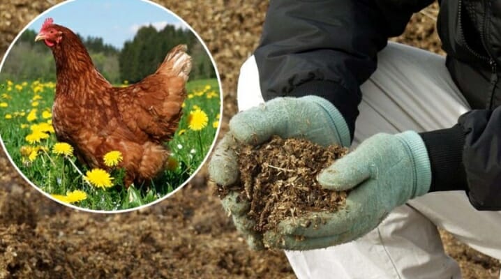 Органические удобрения почвы или как повысить урожайность