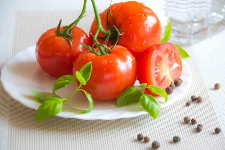 Как помидоры пережили заморозки без укрытия? | myplot.ru